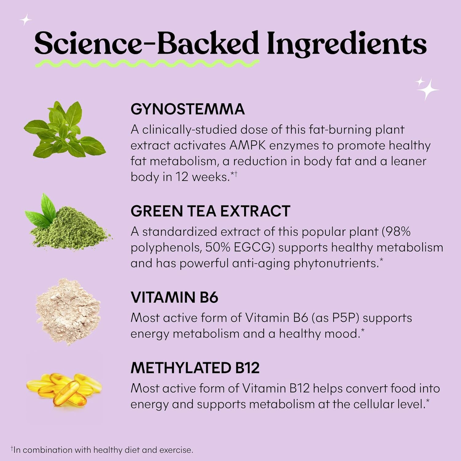 Science-backed ingredients for metabolism support supplement including Gynostemma, Green Tea Extract, Vitamin B6, and Methylated B12.